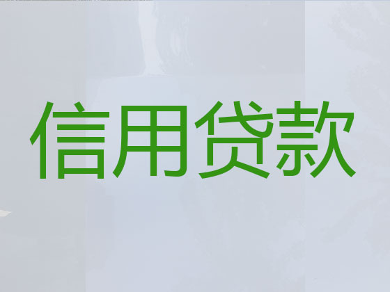 东营本地贷款中介公司